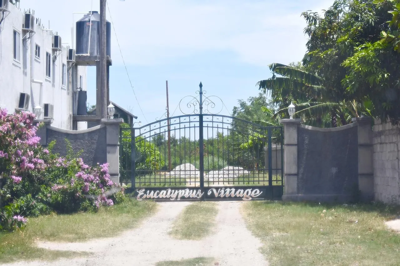 Oda ve Kahvaltı Eucalyptus Guest House Port-au-Prince Haiti